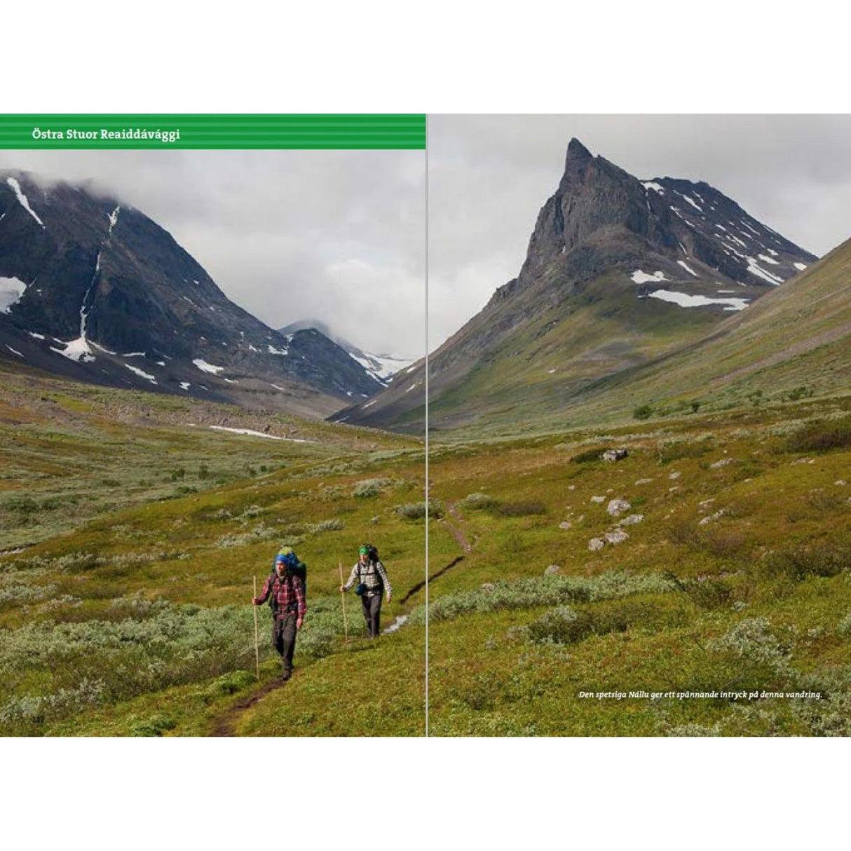 Fjällvandra kring Kebnekaise, Abisko och Riksgränsen