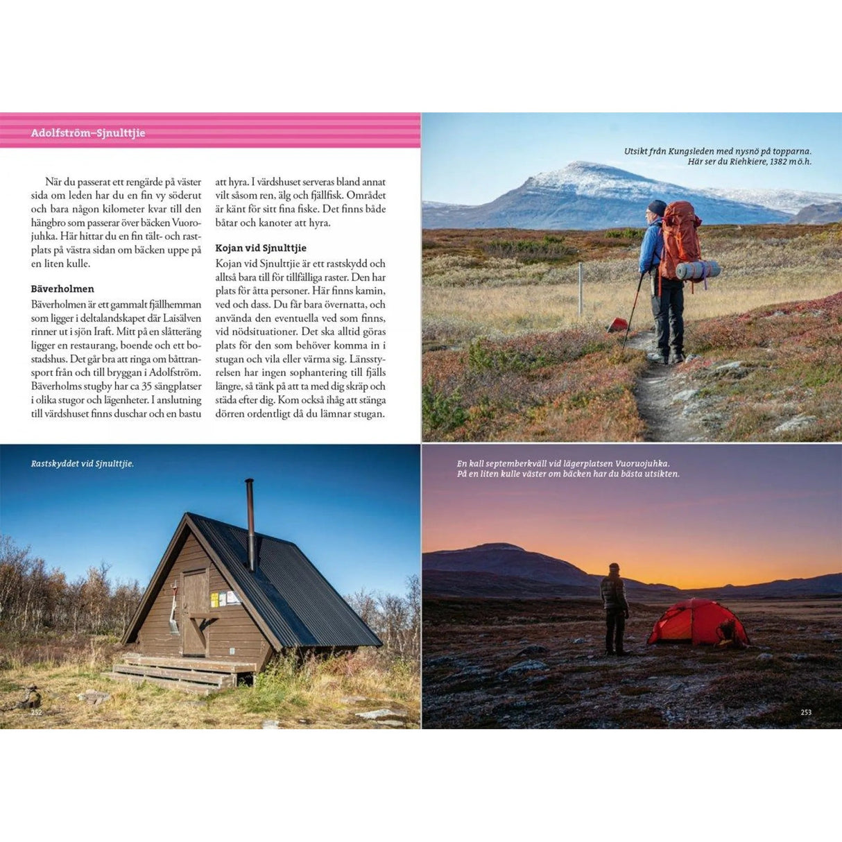 Fjällvandra längs Kungsleden