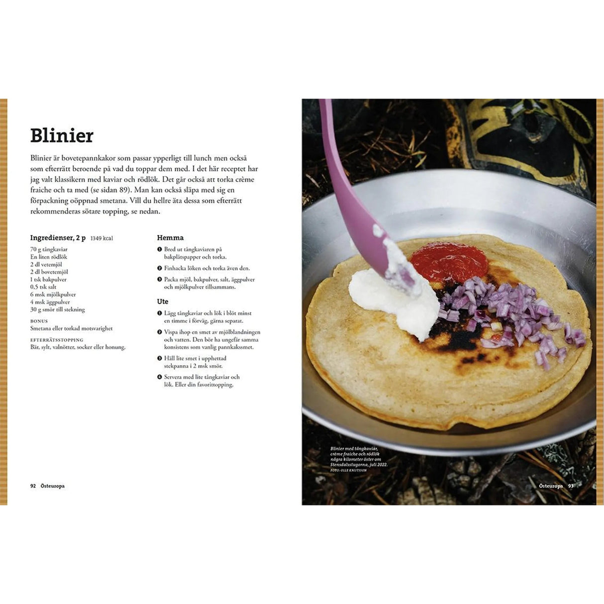 Vegetarisk turmat