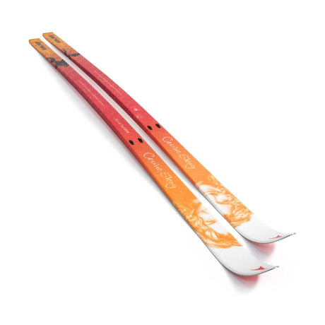 Cecilie BC Turskidor