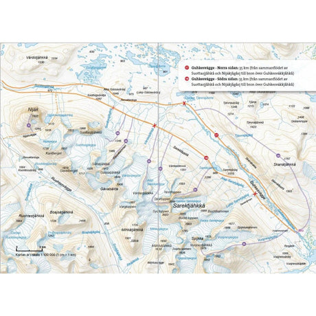 Fjällvandra i Sarek