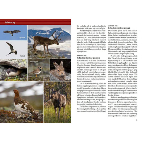 Fjällvandra kring Kebnekaise, Abisko och Riksgränsen
