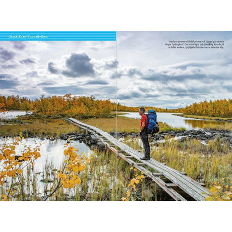 Fjällvandra längs Kungsleden