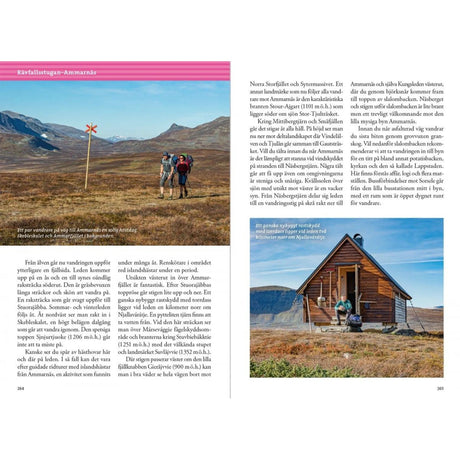 Fjällvandra längs Kungsleden