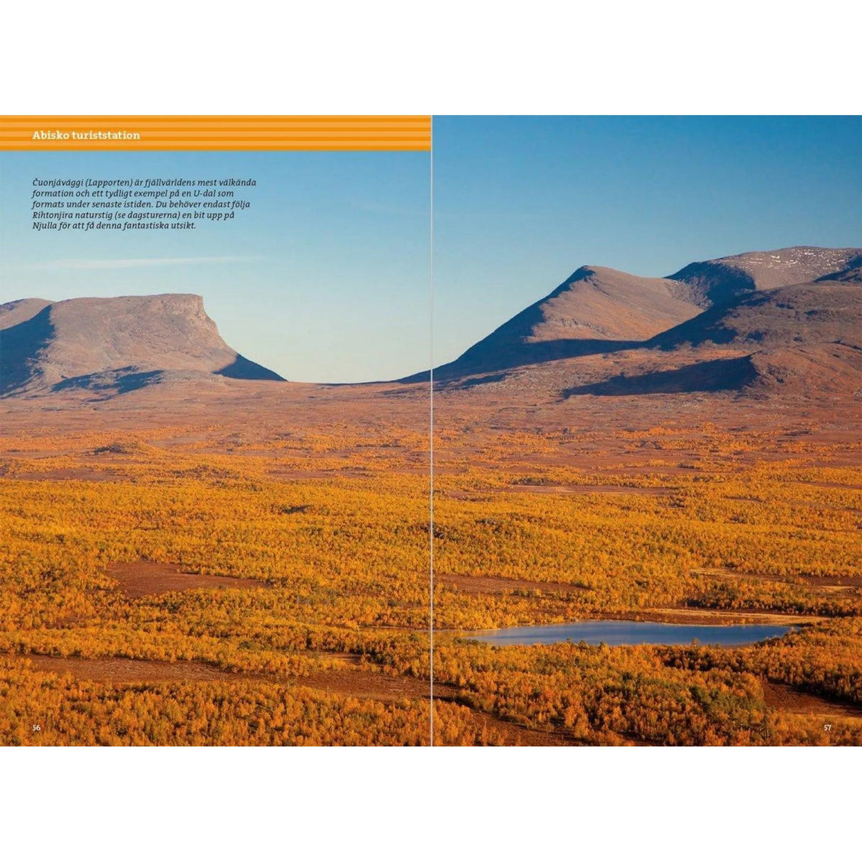 Fjällvandra längs Kungsleden