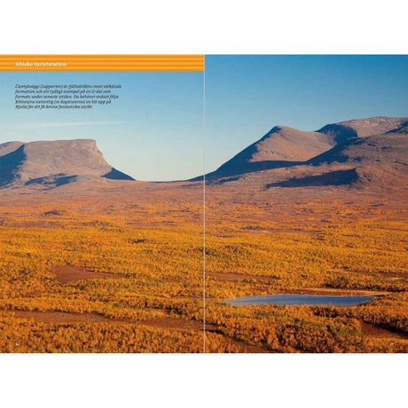 Fjällvandra längs Kungsleden