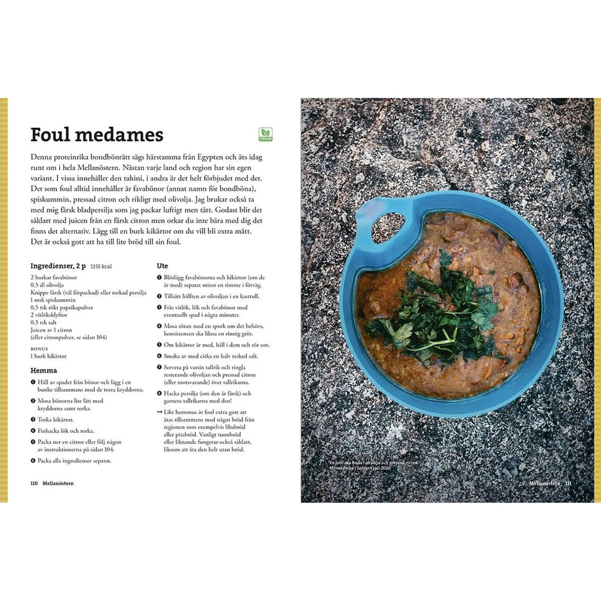 Vegetarisk turmat