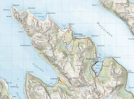 Turkart Senja