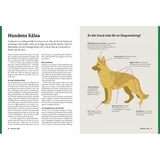 Vandra med hund